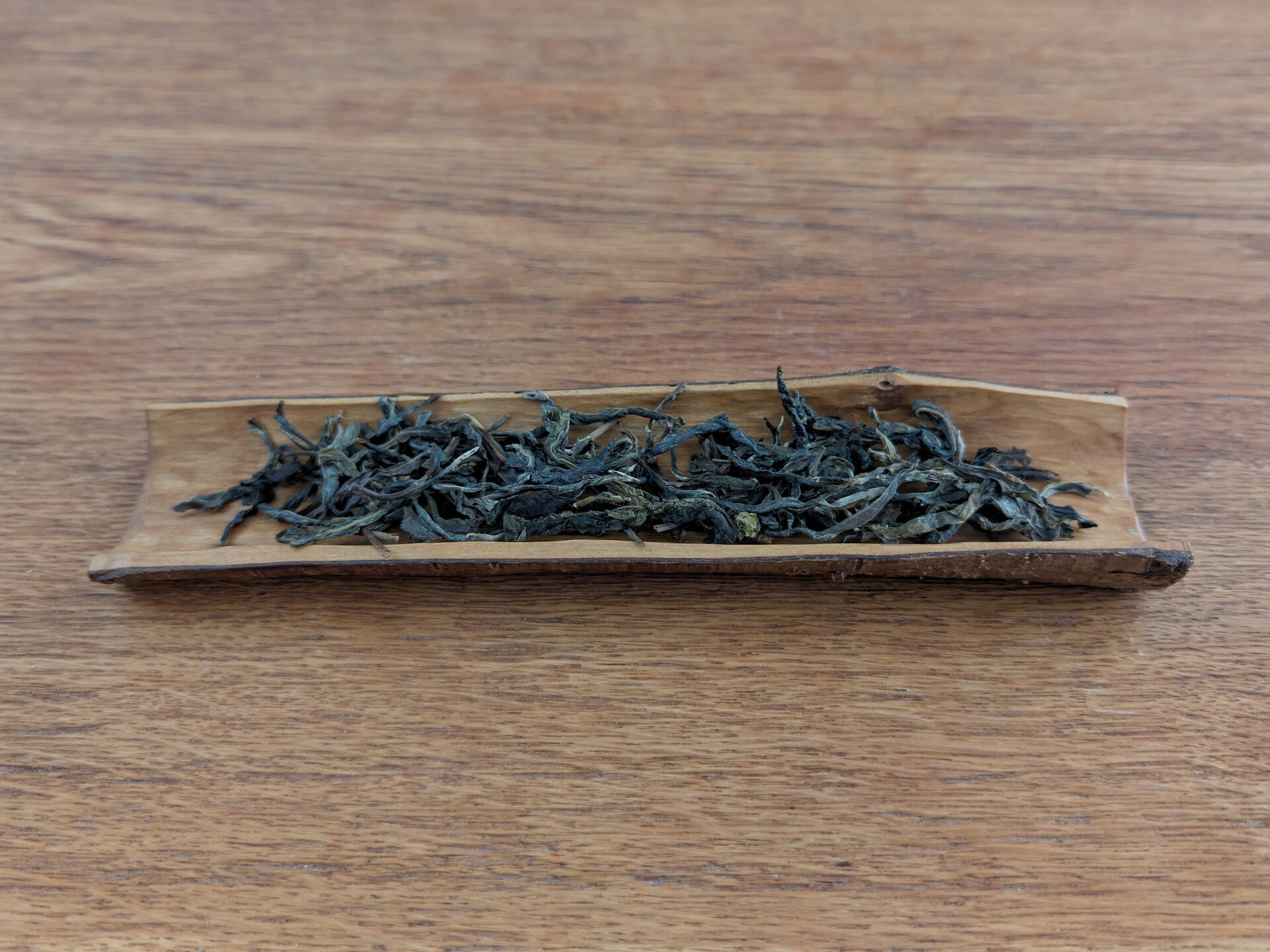 2023 Yiwu Old Tree (TTpl)