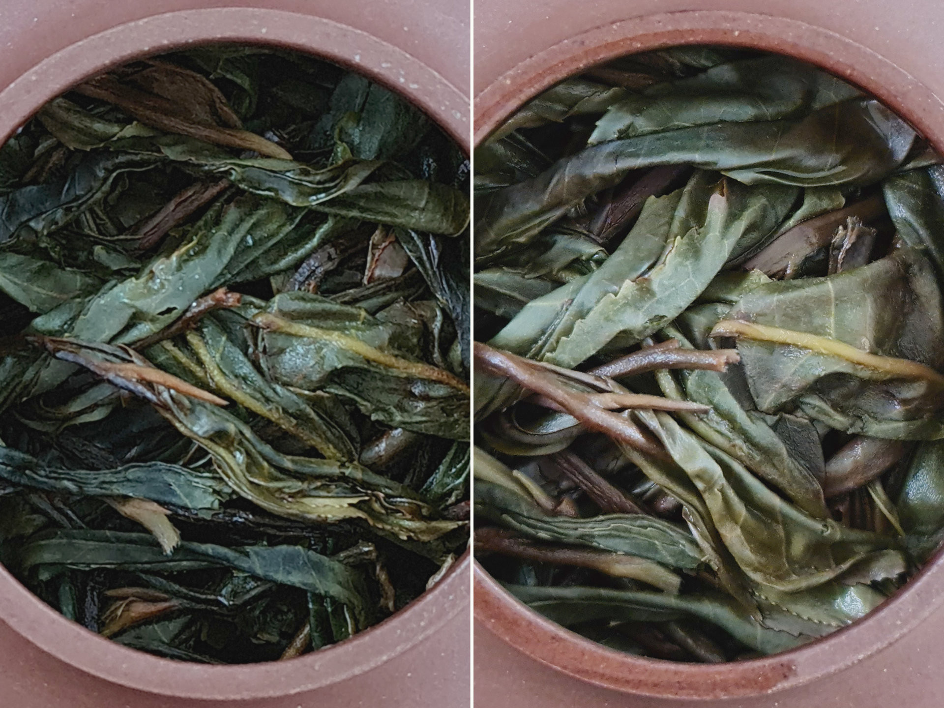 2021 Gaoshanzhai Gushu (TE)