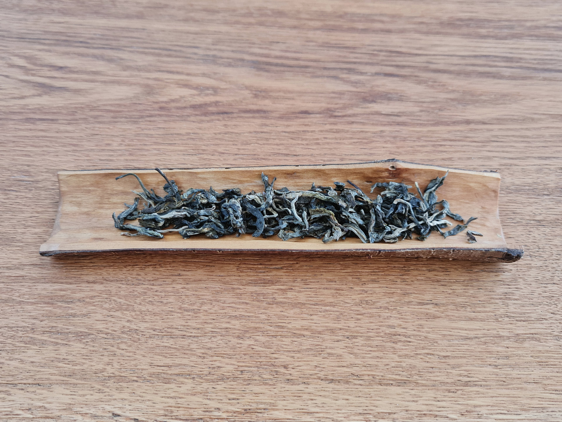 2017 Zhenkang (KC)