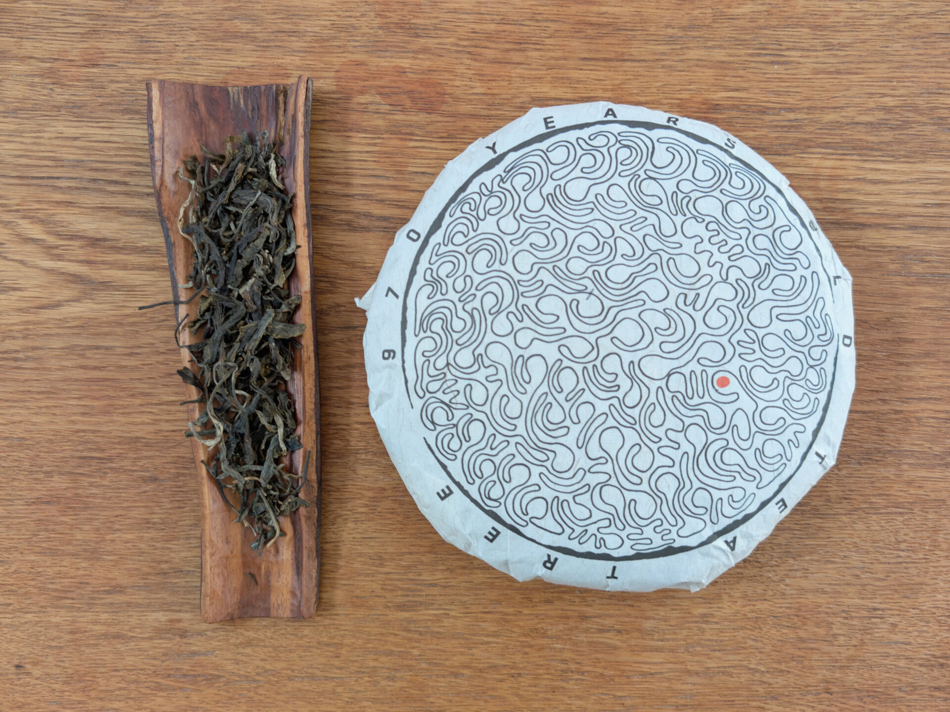 2024 970 years old tea tree (prSK)