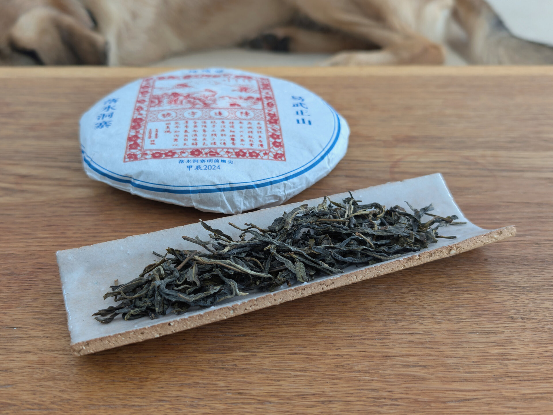 2024 Chenyuan Hao Luoshuidong