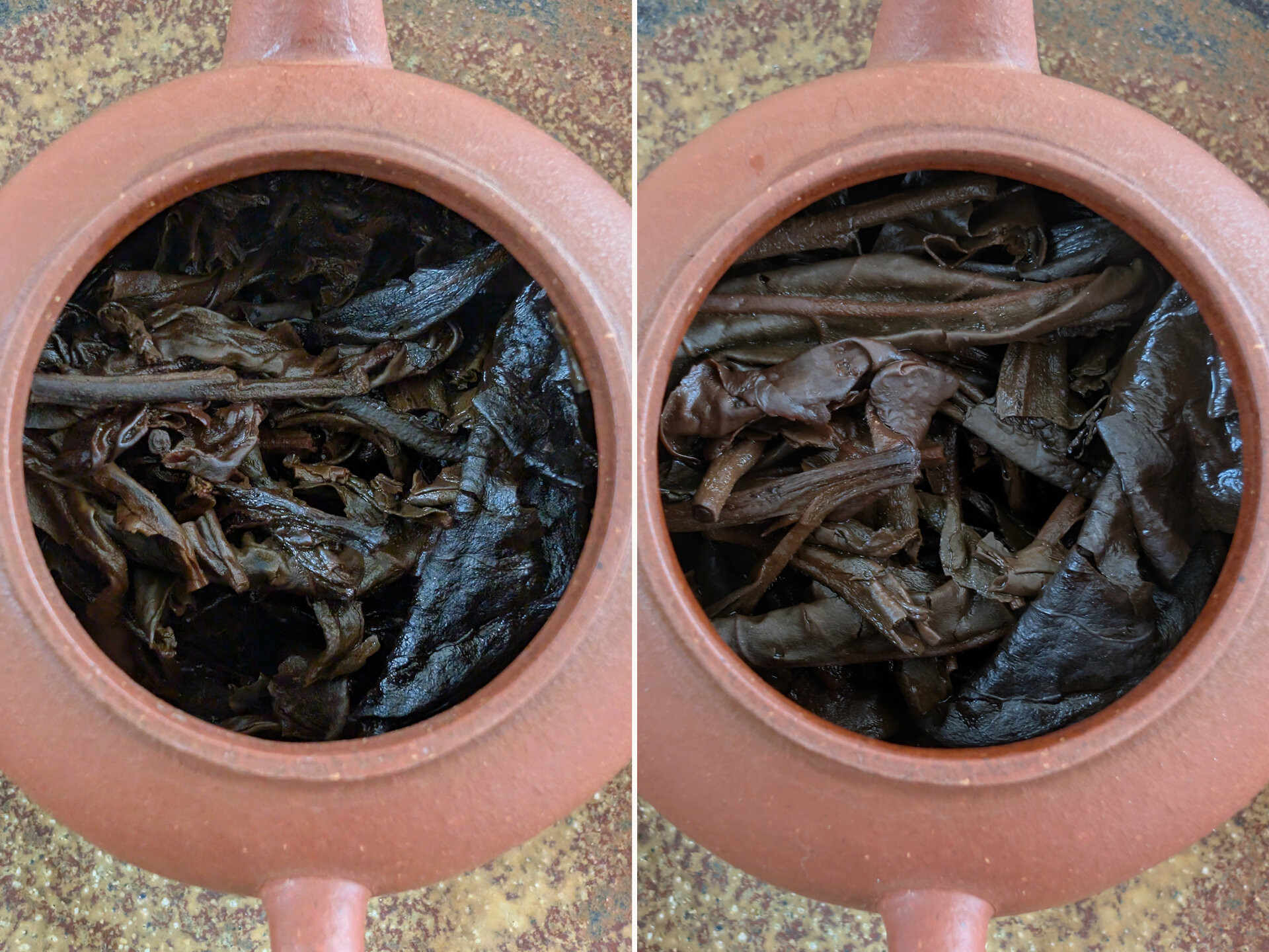 2006 Lao Banzhang (vs. 2005 Version)