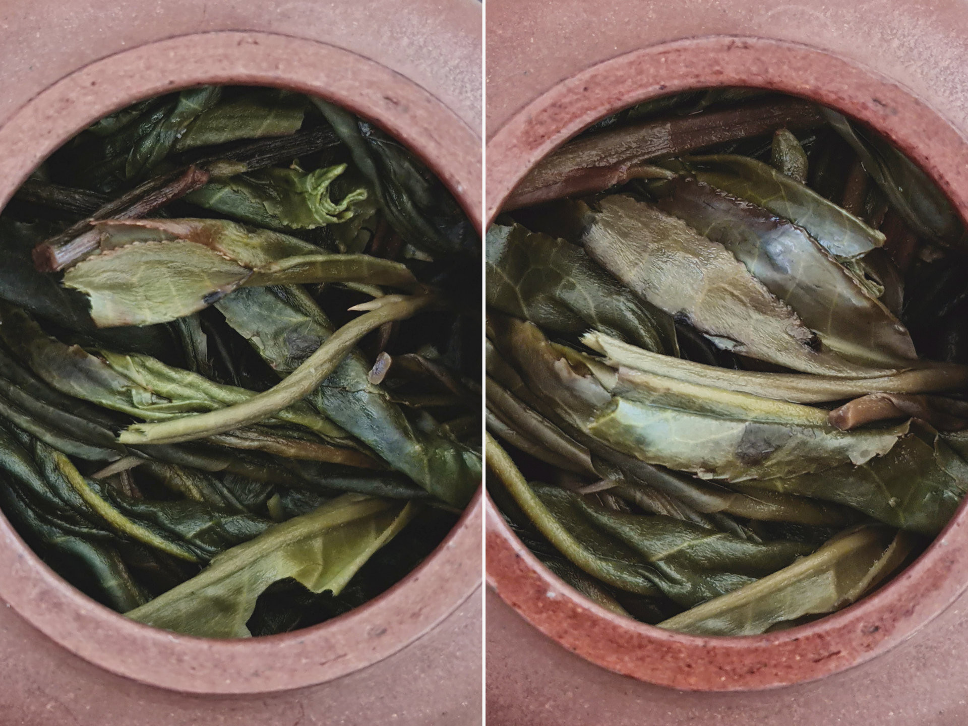 2021 Guafengzhai Gushu (TE)