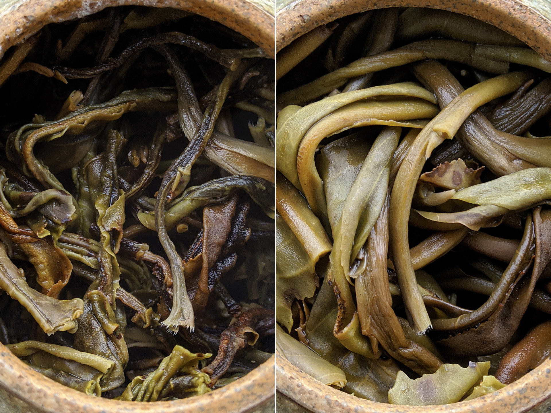 2019 Rareness 5 Autumn (prSK)