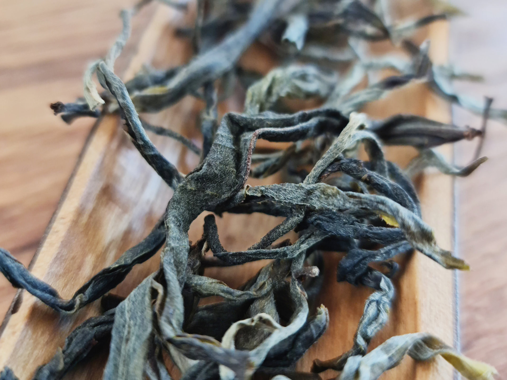 2022 mindSWITCH Maocha (prSK)