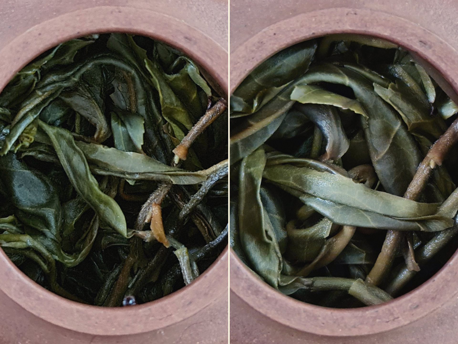 2021 Chawangshu Gushu (TE)