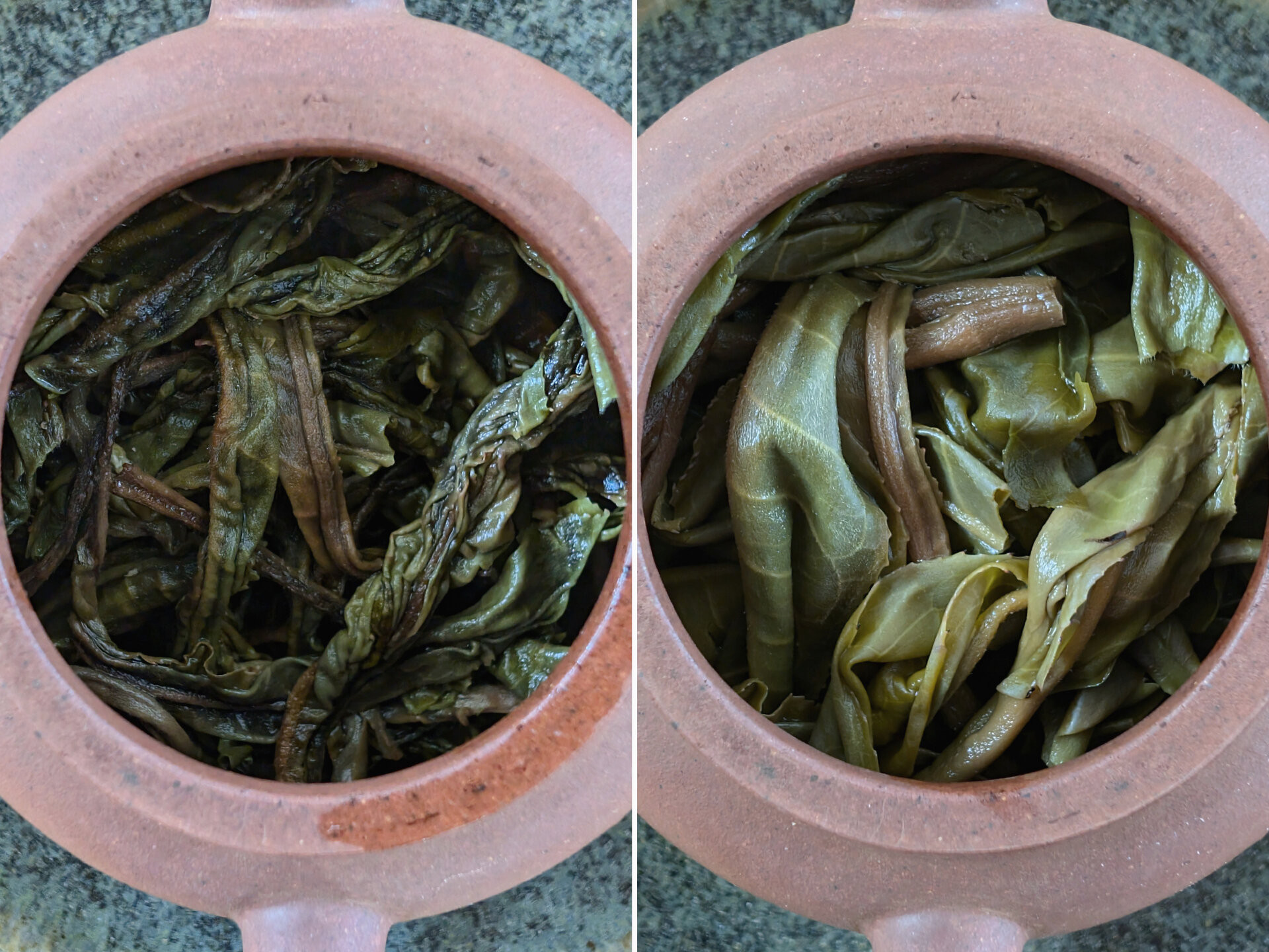 2024 Chenyuan Hao Ban Zhang Cha Wang