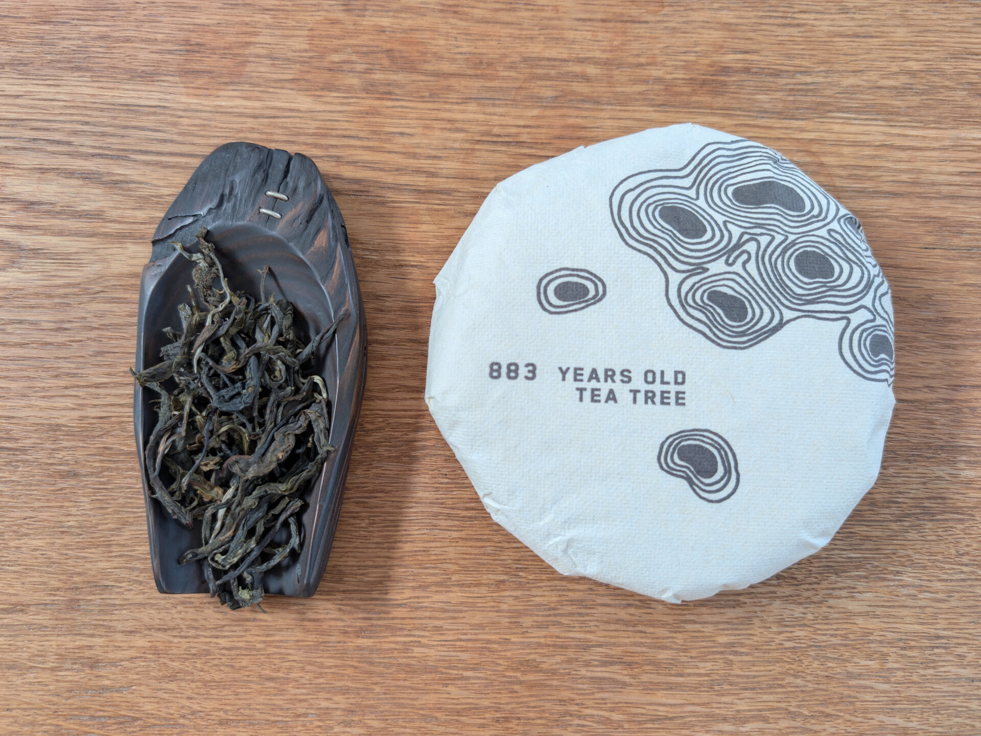 2026 883 years old tea tree (prSK)