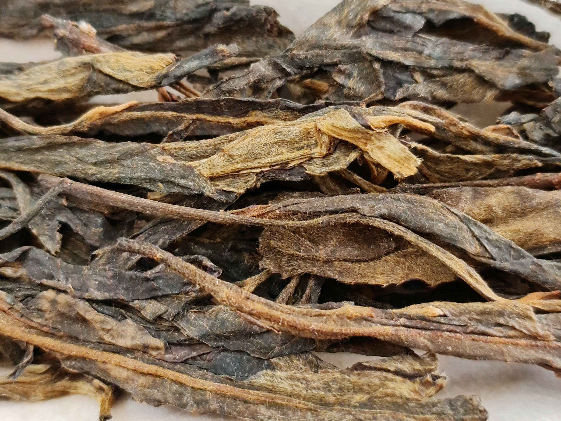 2006 Xi Zi Hao Guangbie Laozhai Gushu