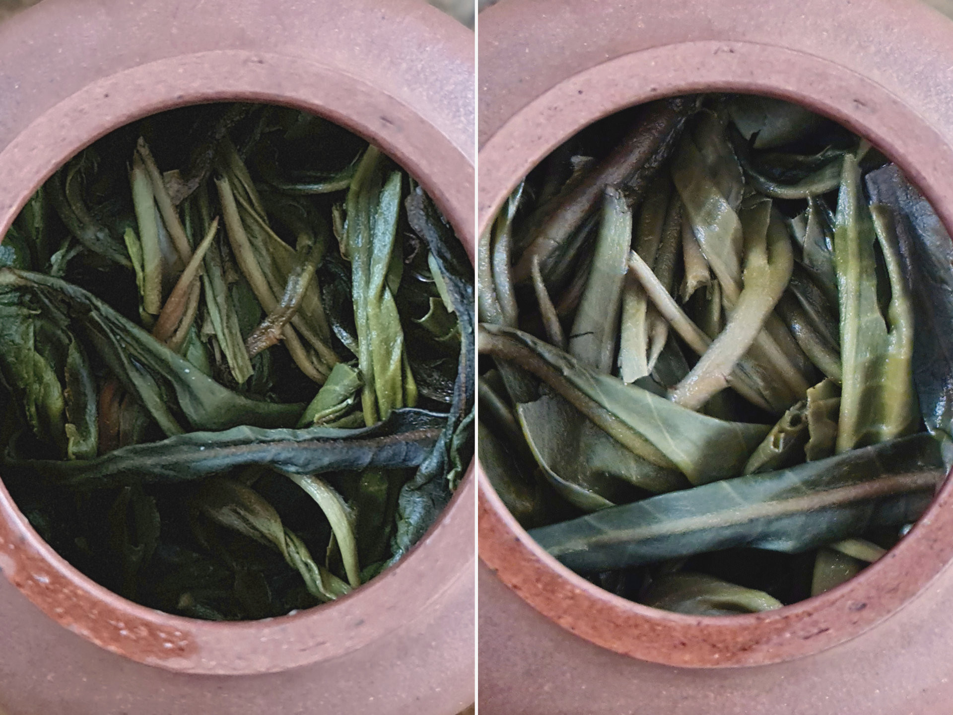 2021 Bai Hua Qing (EoT)
