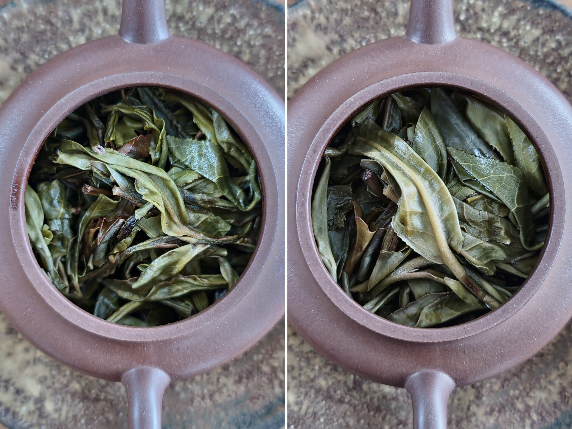 2022 Daheishan Xiaoshu (TE)