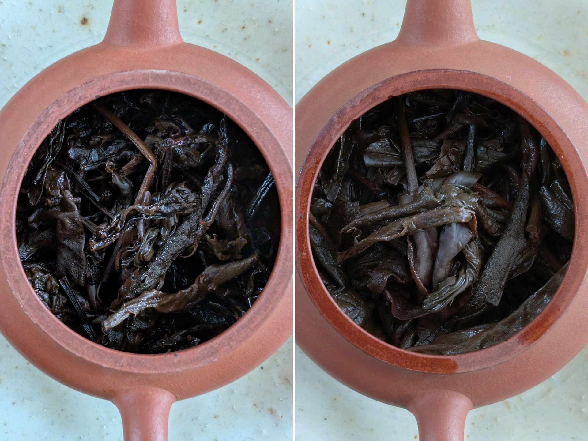 2002 Chenyuan Hao Yiwu Pure Gushu